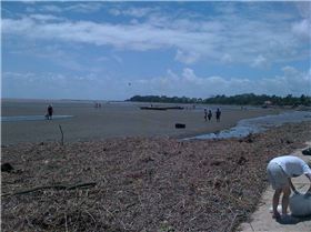 Sandgate Beach Clean up after flood
