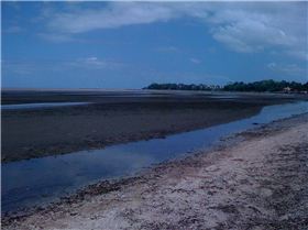 Sandgate Beach Clean up after flood