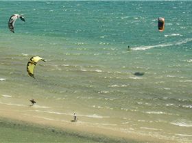 Feestyle State Titles - Jan 2011