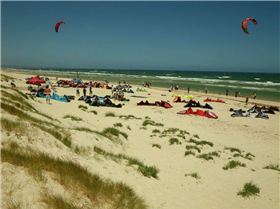 Feestyle State Titles - Jan 2011