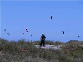 Sheik on the look out