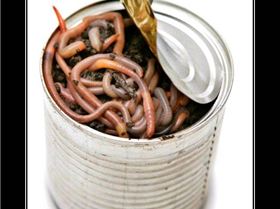 can-of-worms-demotivational-poster-1229709370