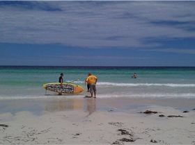 Mr WAKSA President investigates alternatives