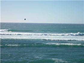 Uncrowded March 2011