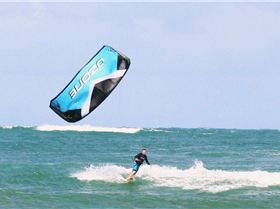 The Dog pack and friends