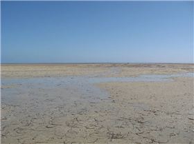 Parham at low tide