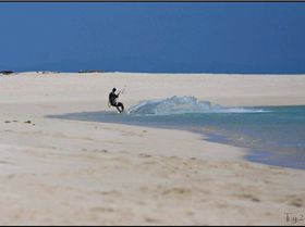 WindSwell Lizard Tour