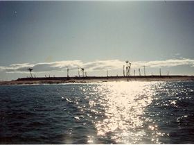 namotu cyclonescar83