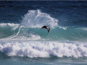 few piccy's from last summer that never left my computer