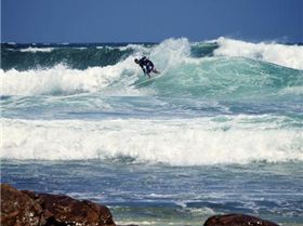 few piccy's from last summer that never left my computer