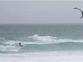 October Joy somewhere nice away from the Hustle