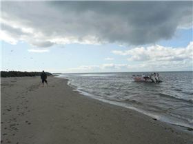 Kraken at Mud Island