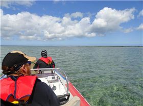 Kraken North of Mud Island