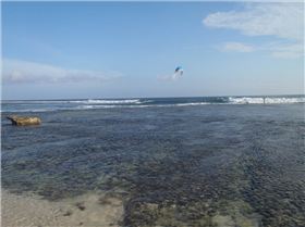 more se trades after lunch