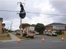 Kite up a power pole