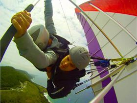 Tony tandem wing over