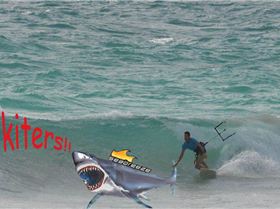 sharksurfing fkn