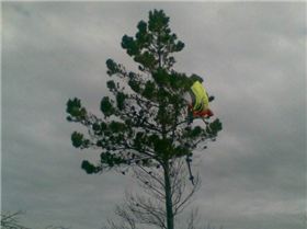 1979 59965682666 585472666 2419473 6045 n