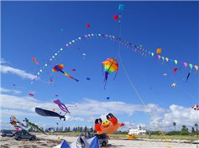 Adelaide Kite Festival 2012