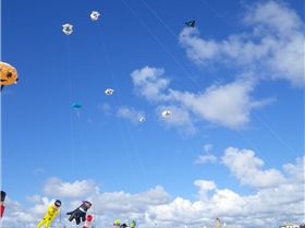 Adelaide Kite Festival 2012
