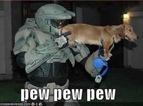 funny-dogs-guns-photo2