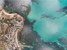 Rotto-Pinkies-Transit