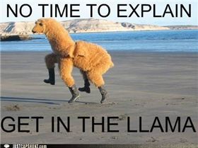 funny-captions-no-time-to-explain-get-in-the-llama