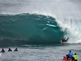 shark-island-heavy-reef-sydney-south