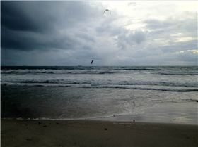 Leighton at the start of the storm