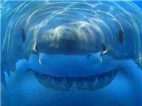 526166 380412462014852 1040109216 n