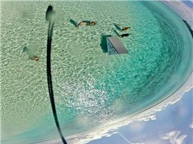 198404 10150996856363879 1145032210 n