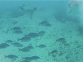 380725 10150908488568660 2108004384 n