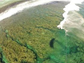 430995 10151287507365561 1261521149 n