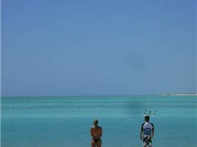 Euros.  .  .  .  , God bless em