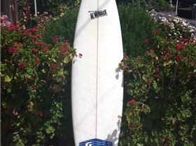 46001 10151339144397845 1768040610 n