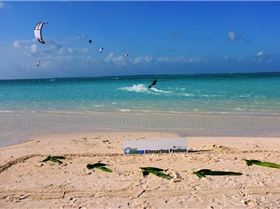Kiting Cocos