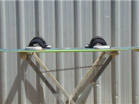 142 Mutant deck profile rods feb2013