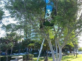 KFC's 23rd March 2013