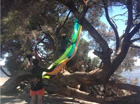 531661 10200449121451282 2062305771 n