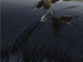 tumblr mjzfbpwdbm1qekb26o1 500