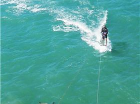 Kitesurfing past sea turtle