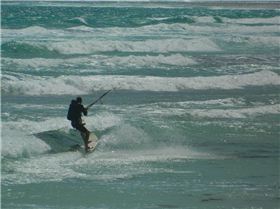 Taking kids across the bay