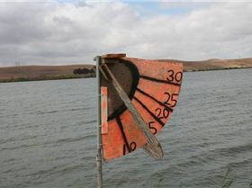 250105 138973196177066 502860 n