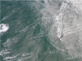 Brighton to Frankston winter downwider