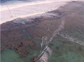 1085142 10151830929782329 1809987889 o