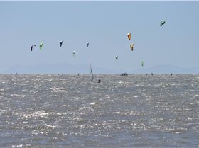 Townsville Kite Races