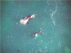 167160 10150110820568373 4567037 n