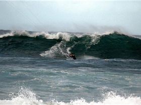 NewPort Reef -- Brett