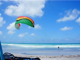 1426514 10153509165075467 918072924 n