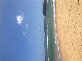 Kiting Umina